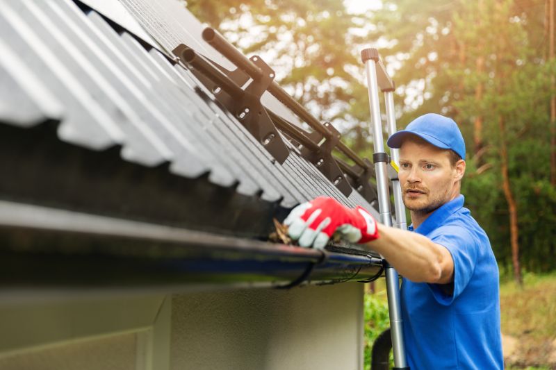 Local Gutter Maintenance Experts